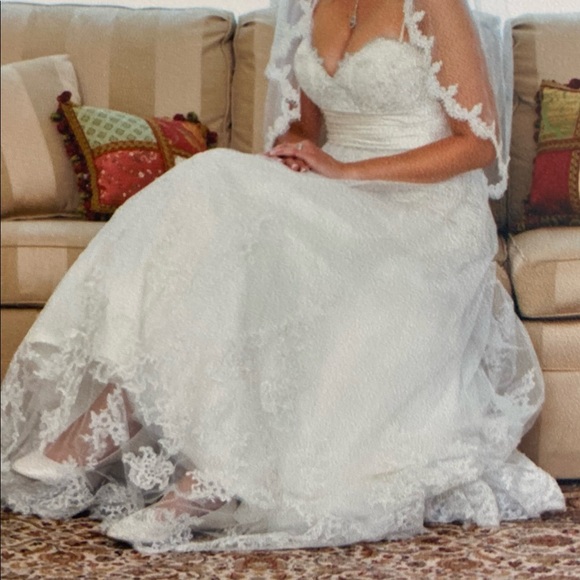 Essence of Australia Size 10 - Picture 2 of 11